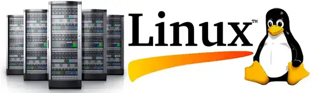 Servidor de Arquivo e Linux